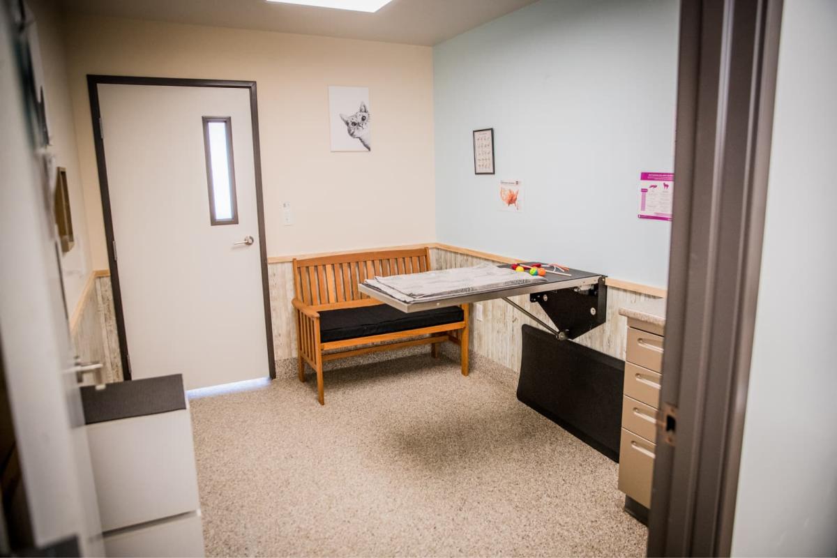 Facility Exam Room