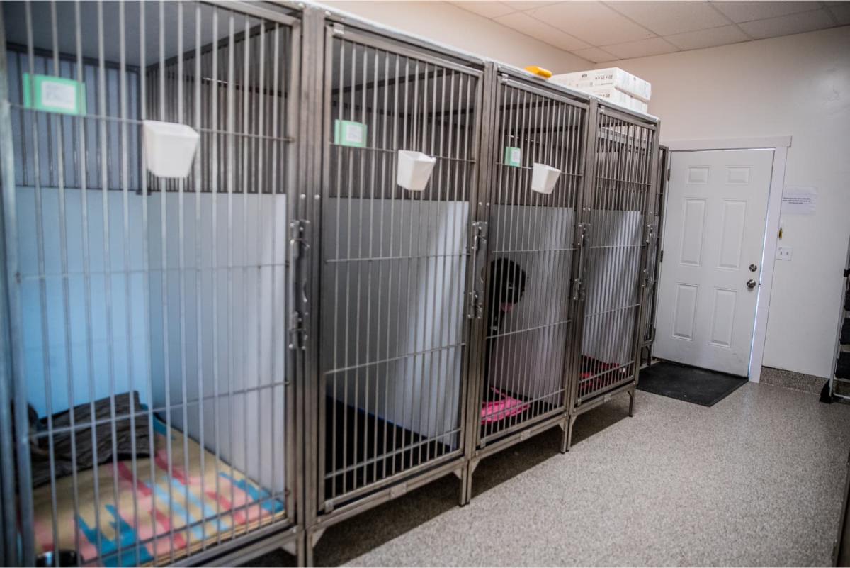 Facility Kennels